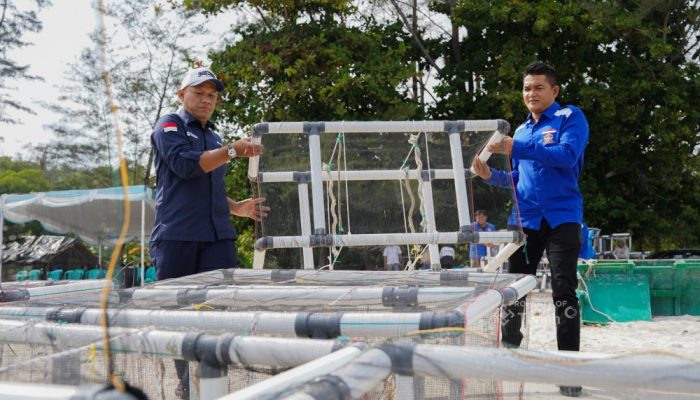 PT TIMAH dan HNSI Kolaborasi Tenggelamkan Atraktor Cumi di Perairan Bangka, Bantu Nelayan Hemat Biaya Melaut dan Jaga Ekosistem Pesisir
