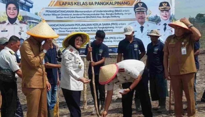 Pemkot Pangkalpinang Dorong Kawasan Pangan Terpadu di Kelurahan Tuatunu Indah Jadi Salah Satu Destinasi Agrowisata