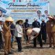 Pemkot Pangkalpinang Dorong Kawasan Pangan Terpadu di Kelurahan Tuatunu Indah Jadi Salah Satu Destinasi Agrowisata